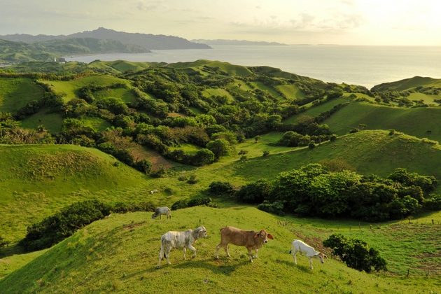 Alternative Christmas Getaways in the Philippines