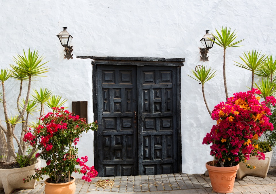 One way to counter space restriction is to give your garden accent pieces, such as potted flowering plants, that can brighten your mini meadow.