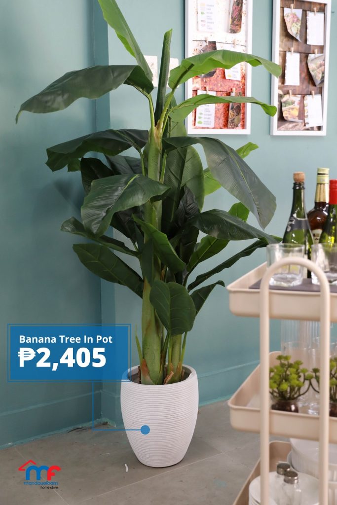 Plant by Mandaue Foam