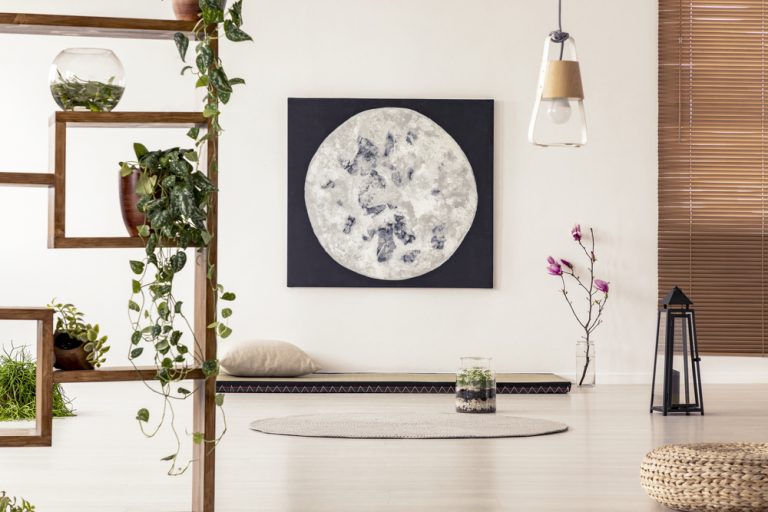 Design Meets Functionality: Developments with Themes that Stand Out ...