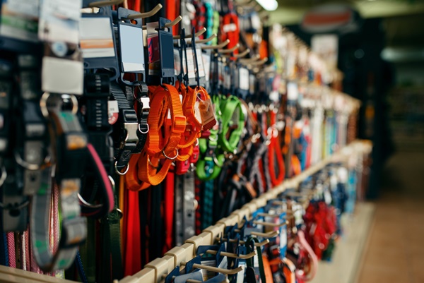 Leashes and collars variety on showcase in pet store
