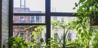 Condo Gardening Tips: How to Grow Your Garden in a Condo Condo Gardening Tips: How to Grow Your Garden in a Condo